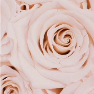 Meet your Posher, Morgan